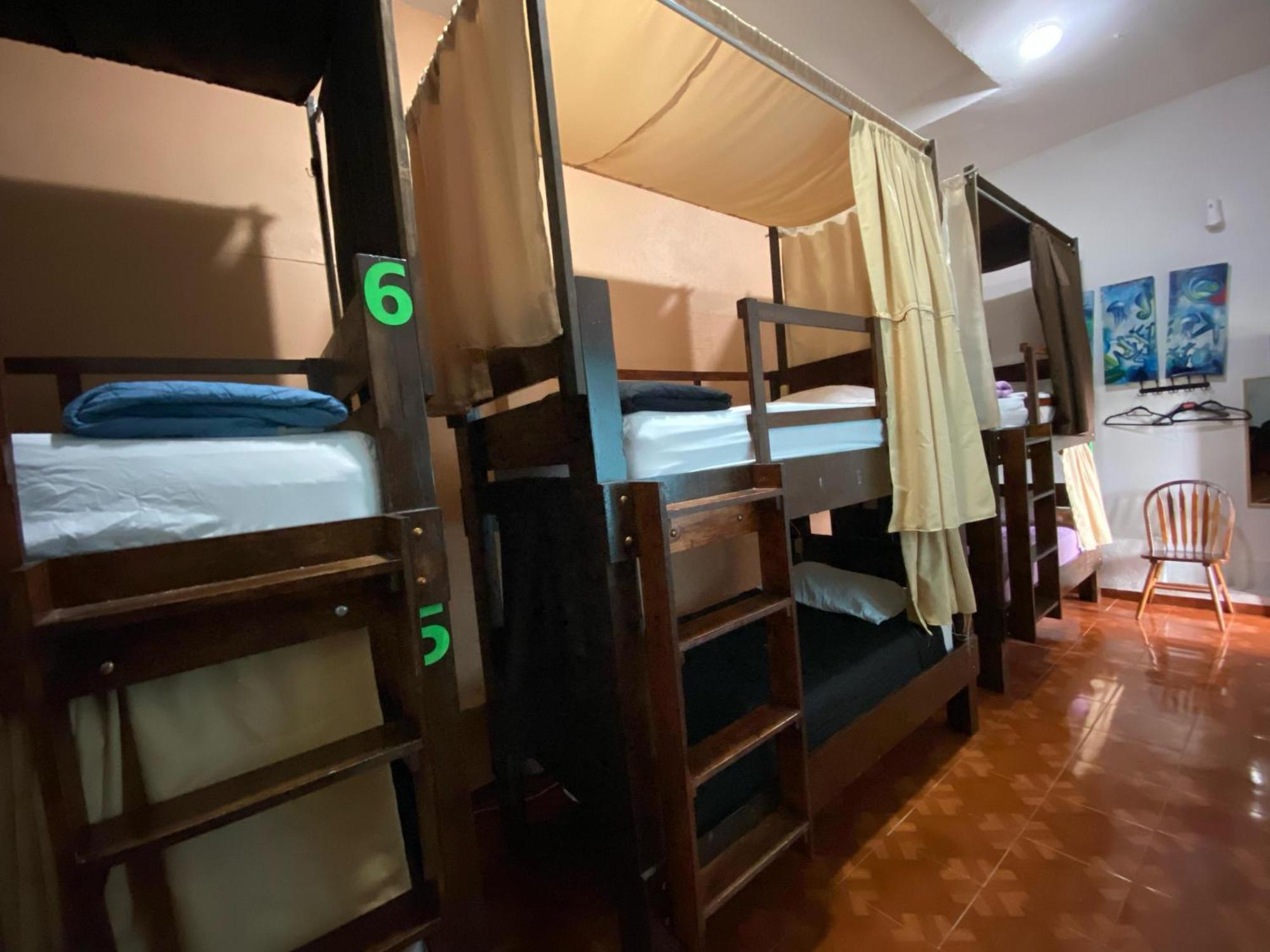 My Family In Monterrey - Hostel 외부 사진